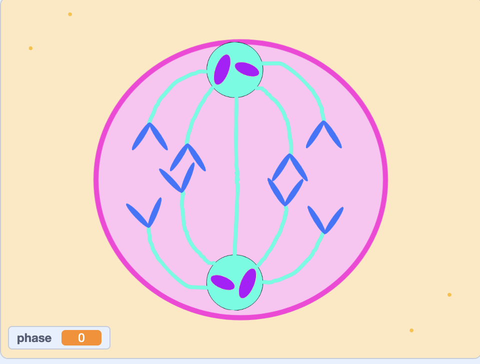  Mitosis project example screenshot